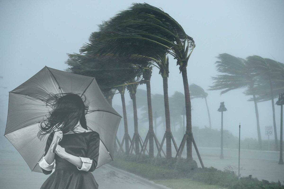 Paraguas a prueba de viento Royal Walk Categoría 1
