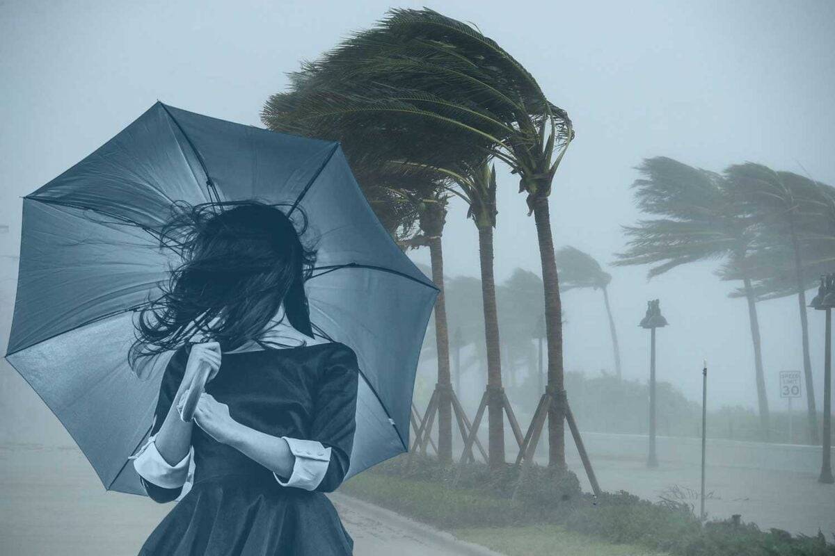 Royal Walk Umbrellas for Rain