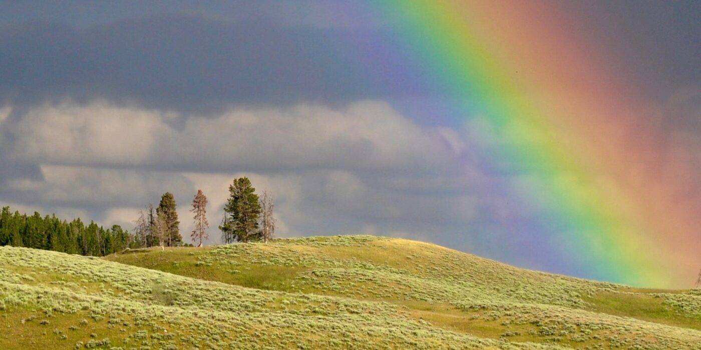 Royal Walk Umbrellas for Rain