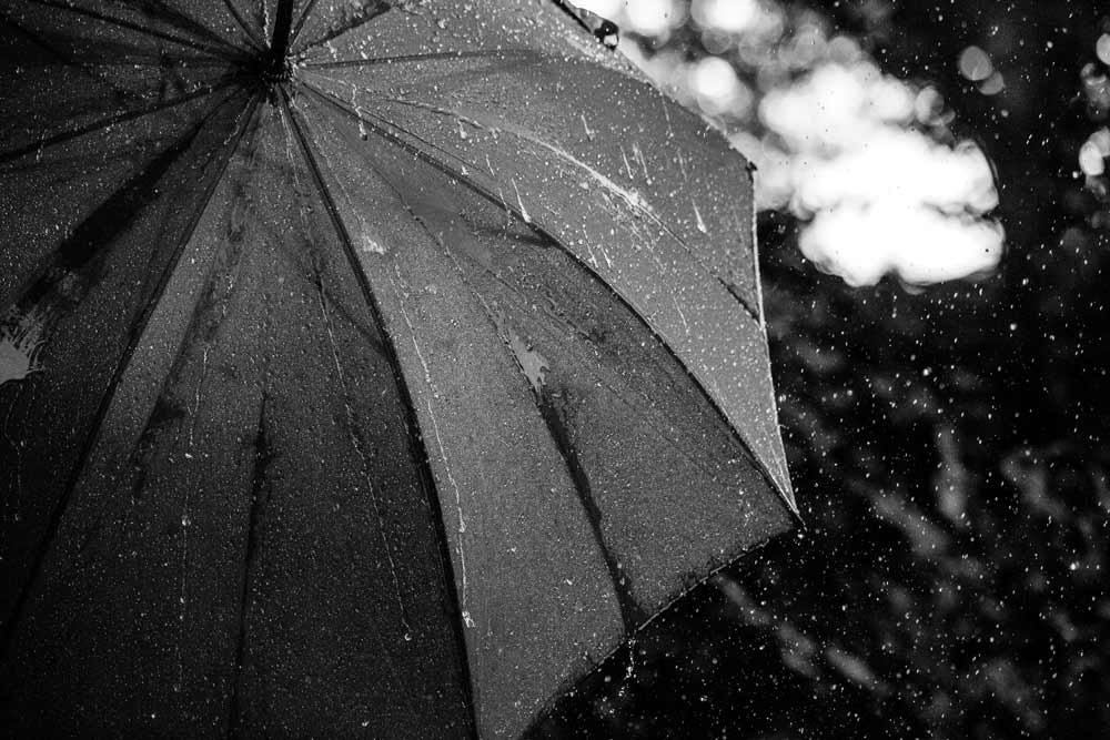 discover the best umbrella for rain - Royal Walk
